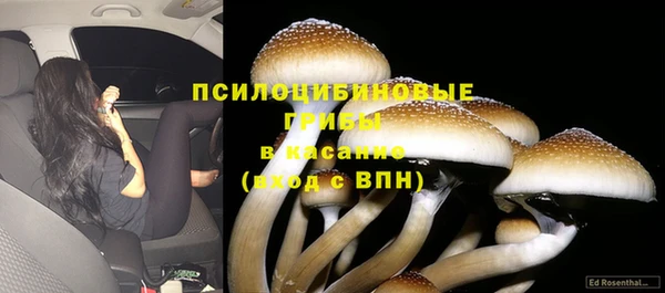гашик Беломорск