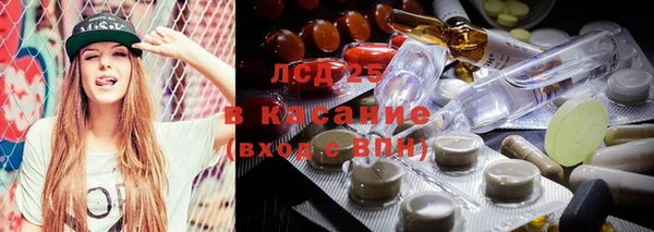 гашик Беломорск